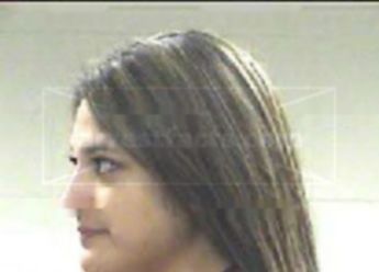 Lizet Castro Villarreal