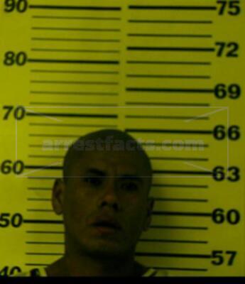 Alfredo Martinez Luis