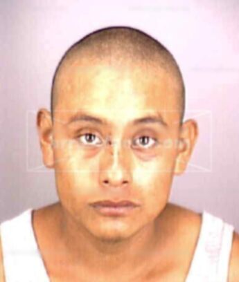 Alejandro D Yescas
