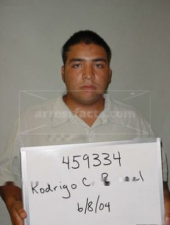 Rodrigo C Bernal
