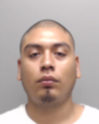 Francisco Nicholas Flores