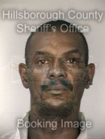 David J Nelson Jr.