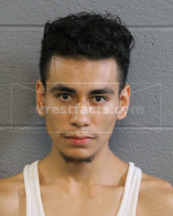 Alan J Maldonado