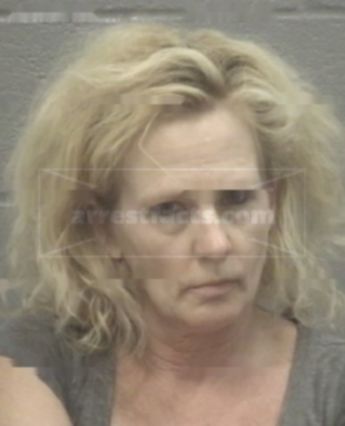 Leslie Ann Mitchener