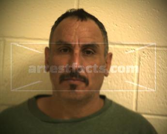 Guillermo Flores Villarreal