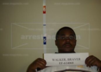Braver Walker