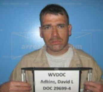 David L Adkins