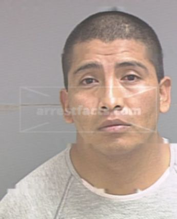 Jose Rico Hernandez