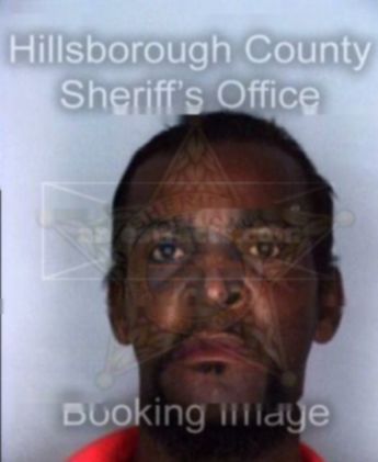Michael Edison Hays