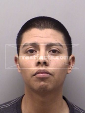 Yibran Campos Alvarado