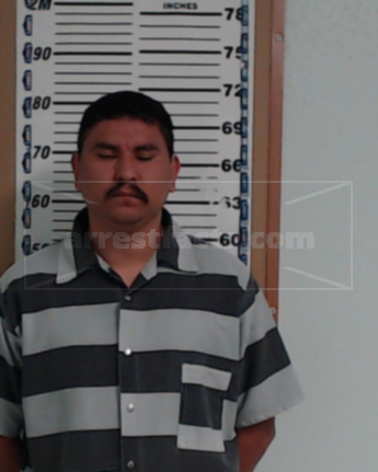 Ramiro Rosas-Ortiz