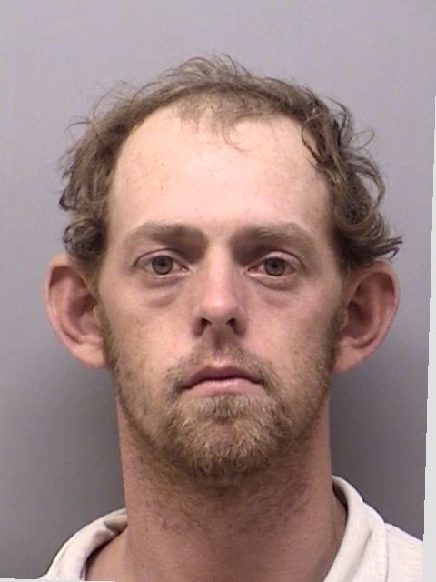 Timothy Bryan Williams