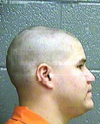 Brian J Houser