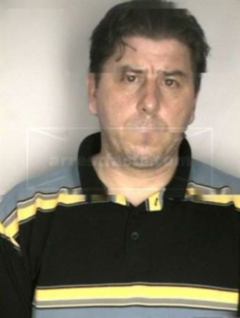 Stephen J Redman