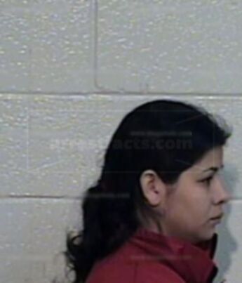 Alicia Guadalupe Lozano Rodriguez
