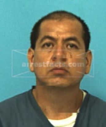 Mario R Martinez