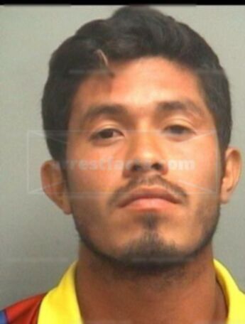 Adrel Molinamartinez