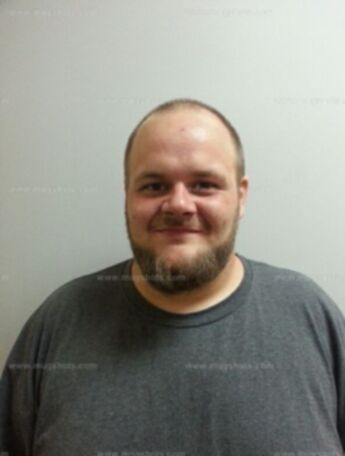 Jeremy L Bradley