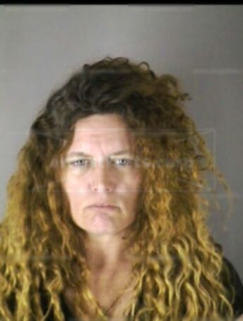 Laura L Cook