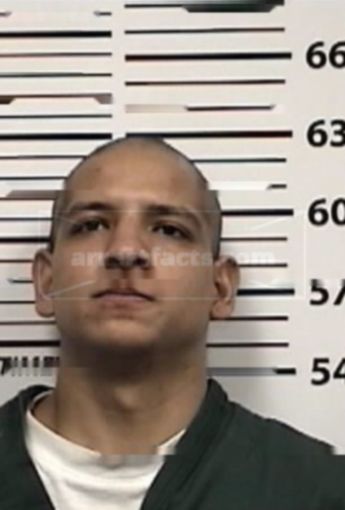 Francisco J Navarro