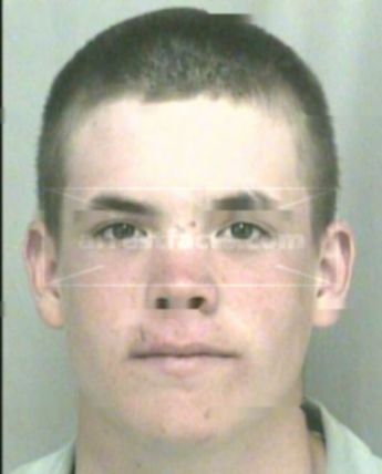 Briceton Trace Hollander