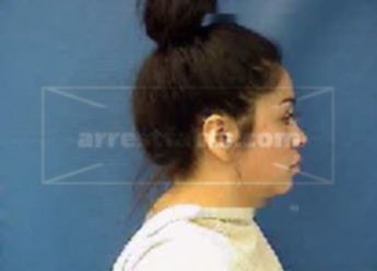 Lesli Viviana Falcon