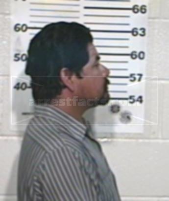 Francisco Flores Arriaga