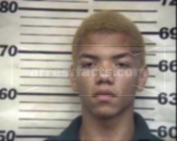 Bryan O'keith Williams