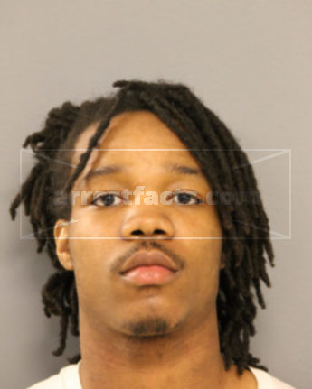 Martise C Hall
