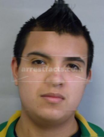 Alejandro P Morales