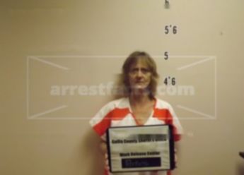 Mary Ann Perkins