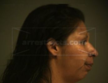 Melissa Ann Franklin Tsoodle