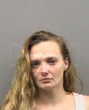 Tammy Ann Renner