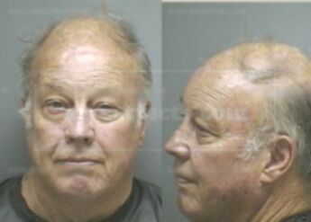 David Pine Shannon