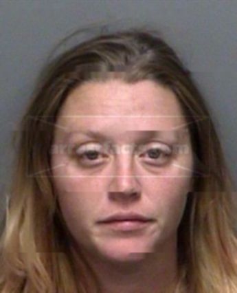 Alison Elise Voll
