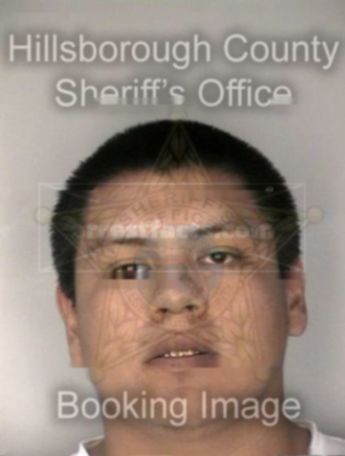 Brian Osceloa