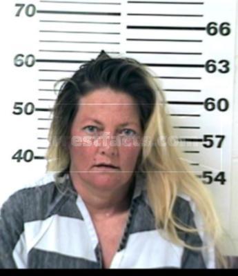 Cynthia Elaine Boulter