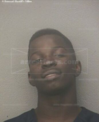 Zaneti Bienaime