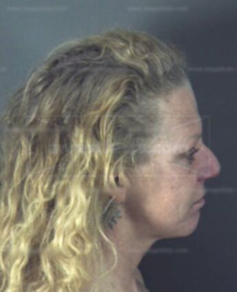 Linda Dianne Segers-Meier