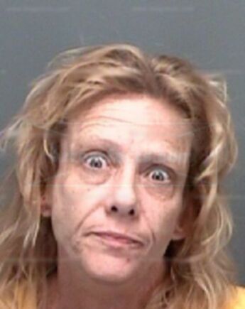 Dorothy D Lewis