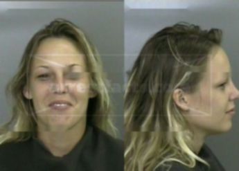 Brandi Irene Bollinger