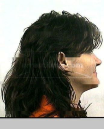 Leslie A Sutphin