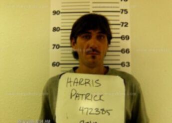 Patrick H Harris
