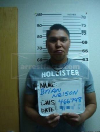 Brian Eric Nelson