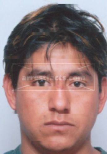 Fernando Flores