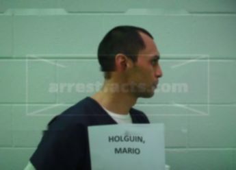 Mario Israel Holguin