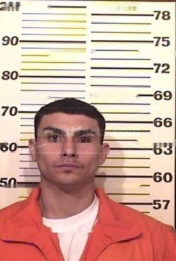 Alexander P Rael