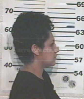 Diana Delia Perez Villalpando