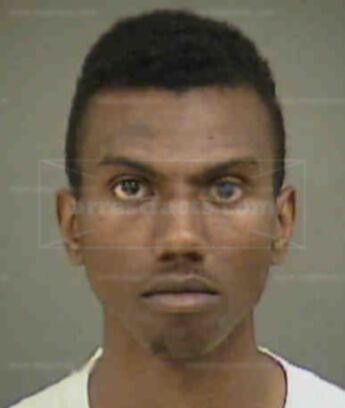 Shawn Shameik Gilliam
