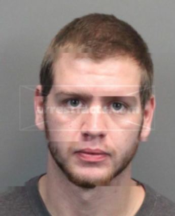 Kyle Austin Williamson